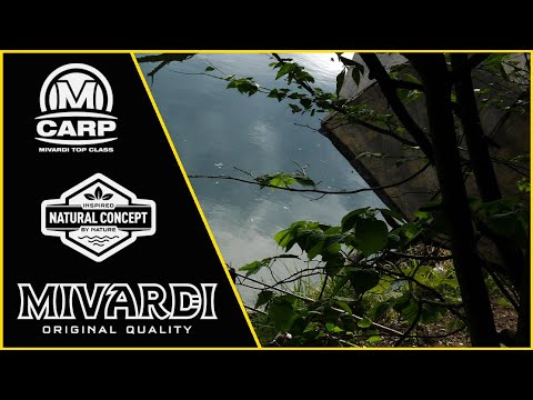 MIVARDI - Dáždnik Camou PVC S komplet zakrytím 2,50 m