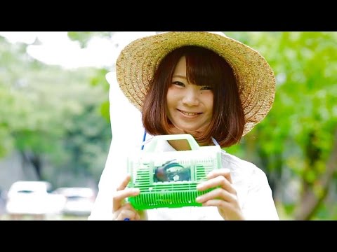 プールと銃口「natsumachi」 PV