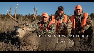 Deer Meadows I Mule Deer I Day 2