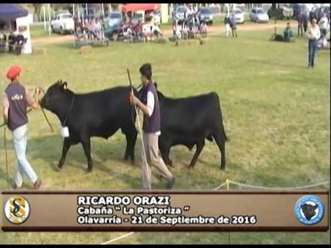 21-09-16 - Ricardo Orazi - Cabaña "La Pastoriza"