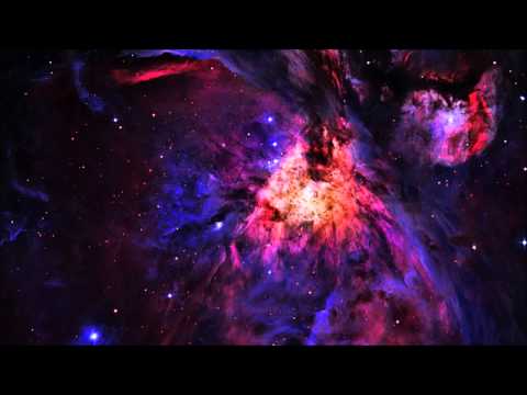 Maximum Hustler - Module One