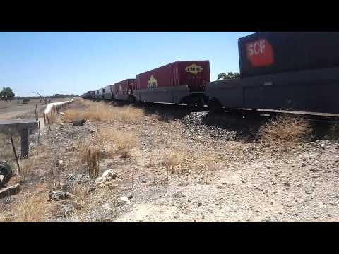 Freight Train 🚆  Adel- Melbourne @Tailem Bend Sth Aust, We've been saving this one up for you Alex!