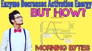 Enzyme Decreases Activation Energy, BUT HOW? | Enzyme Kinetics | Morning Bytes