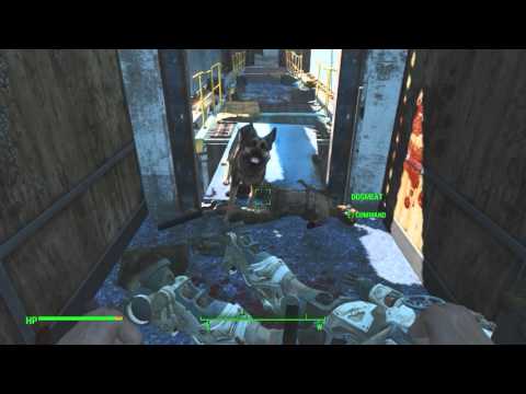 Fallout 4: Sole Survivor Loses It