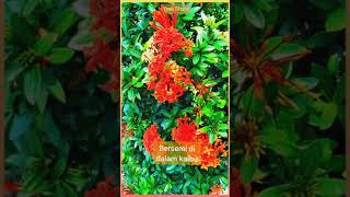 Download lagu STORY WA 'KAU SELALU DI HATIKU' ( Yuni Shara )  https://youtu.be/AehdhQv5PvU mp3 Download lagu STORY WA 'KAU SELALU DI HATIKU' ( Yuni Shara )  https://youtu.be/AehdhQv5PvU mp3