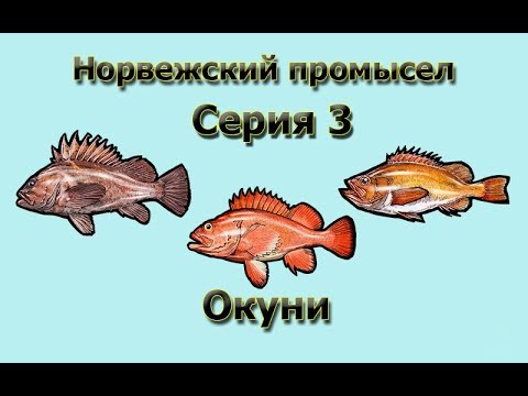 Русская Рыбалка 3.99 (Russian Fishing) Норвежский промысел 3 - Окуни