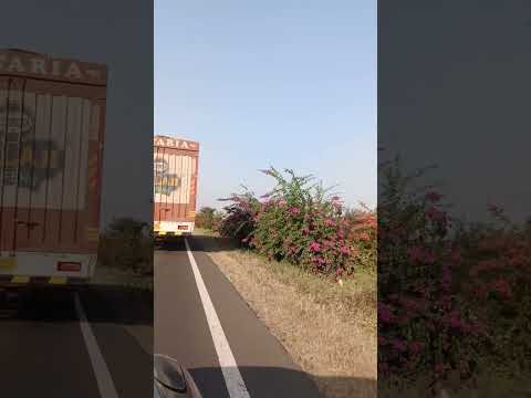 nazara ho to esa #shorts #trending #viral #nature #flowers