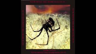 Lee Bannon -  All u Had (Slimburn Remix)