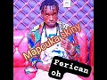 BILL FERICANOH MAPOUKA SKINY ACT1