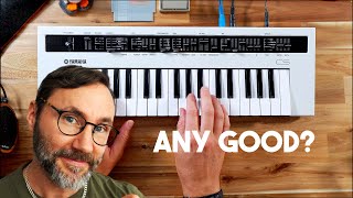Video thumbnail for I bought the Yamaha Reface CS - The Best Family Synth? by Mattias Holmgren