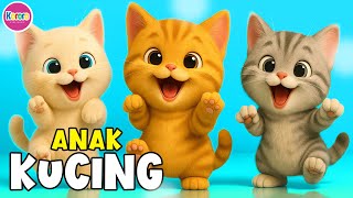 Download lagu Kompilasi Lagu Anak - ANAK KUCING MEONG MEONG, Cicak di Dinding Dan Lagu Anak Viral Populer Lainnya mp3