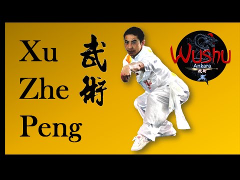A Tribute to Shifu Xu Zhe Peng