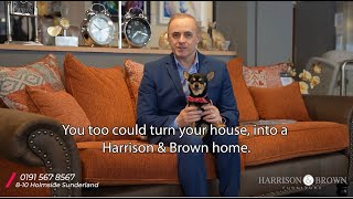Harrison & Brown Furniture