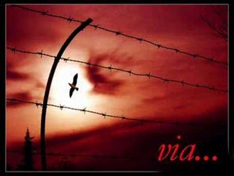 Neri per caso e Claudio Baglioni - VIA