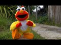 Chicken Dance Elmo Refuses To Sing Properly