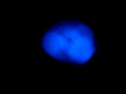 Wiz khalifa ft the weeknd make me remember you