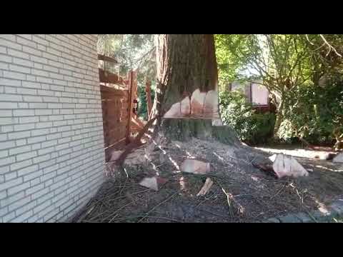 Weser Garten Bau - Baumfällung