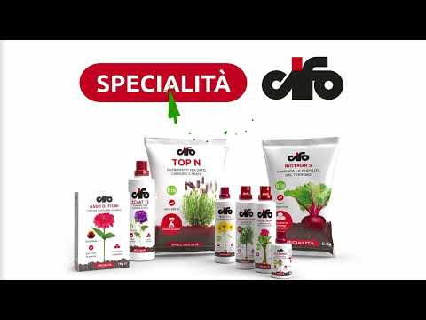 Cifo Specialità TOP Veg GR