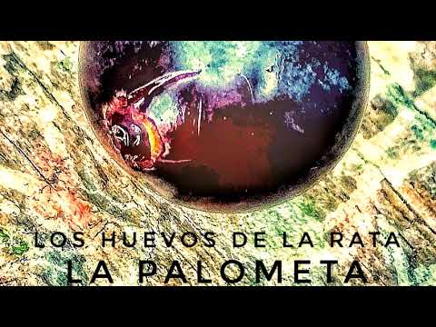Los Huevos De La Rata - La Compañía