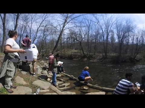 Stream Water Testing at Pool Wildlife BIO 220 PSULV