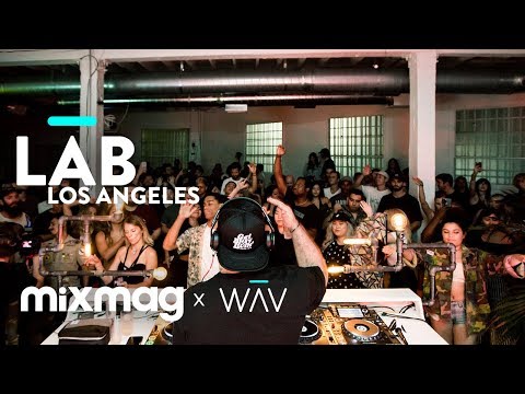 SHIBA SAN in The Lab LA