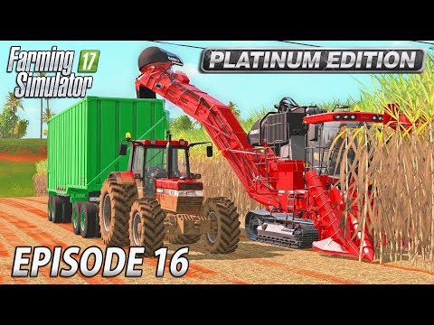 A SUGARY PROFIT | Farming Simulator 17 Platinum Edition | Estancia Lapacho - Episode 16