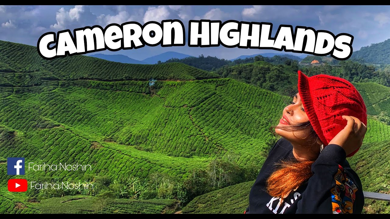 Day Trip to Cameron Highlands 2022 | BOH Tea Centre| Travel Malaysia