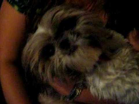 Ma Fete 29 septembre 2007 16 ans :P