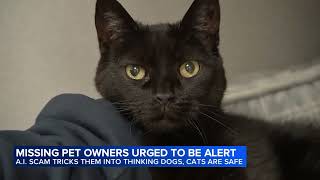 AI scams trick pet owners into thinking missing pets are safe