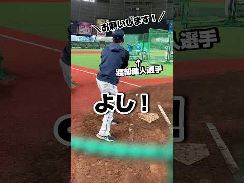 「ライオンズの巣窟」: アンカークラウトの創設者が新しいゲストライオンです