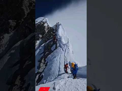 Mount Everest Avalanche #shorts #factawing