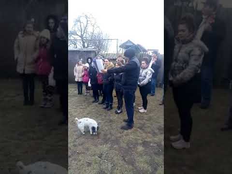 Colindă Regională la Mânerău - comuna Bocsig 3