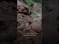 Sade Dil Da Chain Karar Bhi Tu Sada Soniya Pyar Bhi Tu Foryou