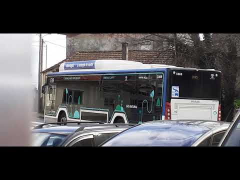 STCP No Linha 805 Veículo 3369, Part 2