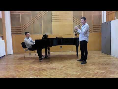 Ștefan Danifeld - Adagio und Allegro, Robert Schumann