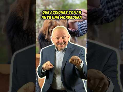 Qué Acciones Tomar Ante Una Mordedura