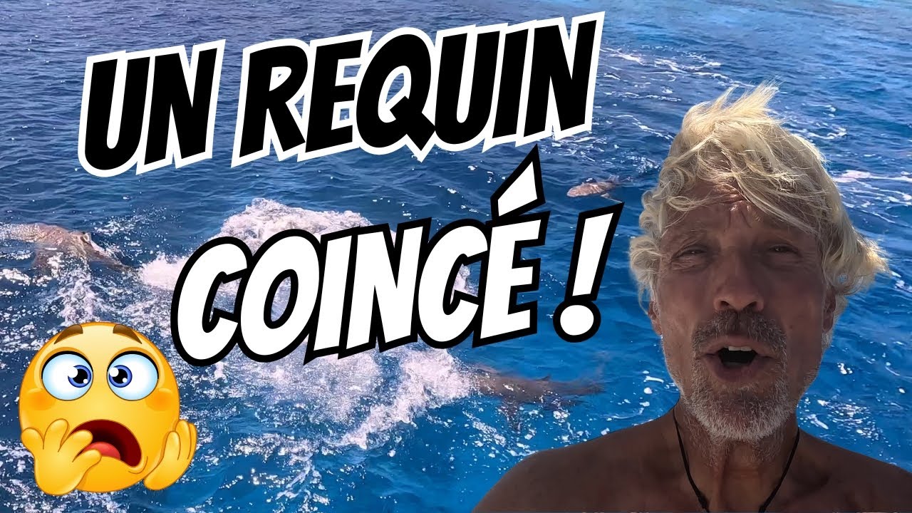 When the feeding frenzy goes wrong, a shark gets stuck under the boat! #54