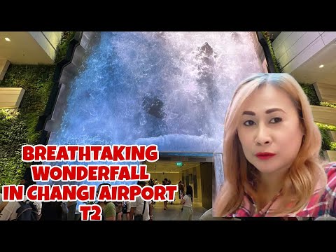 EXPLORANDO A NOVA MARAVILHA DE FÔLEGO NO CHANGI AIRPORT T2 || CINGAPURA