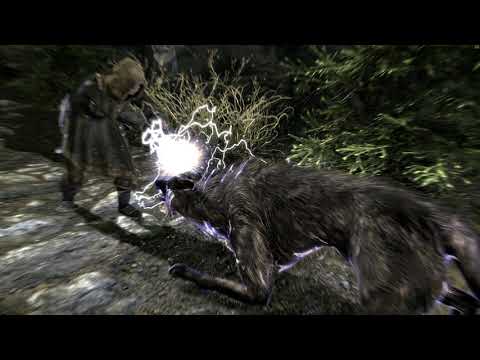 The Hard knock life of Skyrim