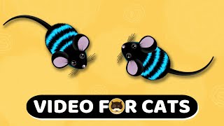 Download lagu CAT GAMES - Mouse. Mice Video For Cats | CAT & DOG TV | 1 Hour. mp3