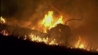 Fire Officials Call Wildfires In California As Pure Destruction