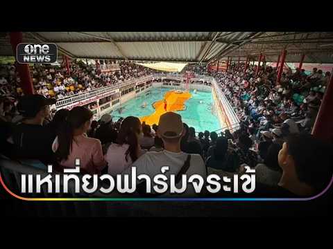 แห่เที่ยวฟาร์มจระเข้ฯ หลังโชว์ช้างสุดเหงาเป็นไวรัล | ข่าวเที่ยงช่องวัน | สำนักข่าววันนิวส์