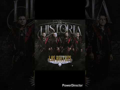 Los mejores corridos de los buitres de Culiacán Sinaloa