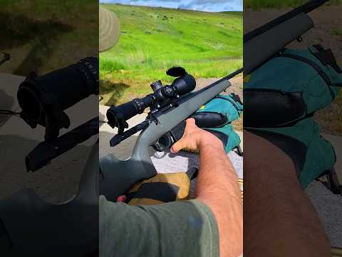 BEST Weatherby Cartridges?