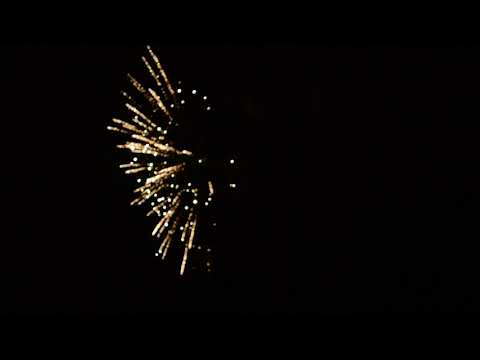 trapdaddyflex - Broke Bitch