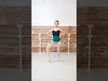 Ballet Leotards Choose Your Favourite Style Intermezzo Dancewear