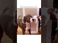 Hilarious Mama Dog Freaks Out After Meeting Puppy! - The Pet Collective Hilarious Mama Dog Freaks Out After Meeting Puppy!