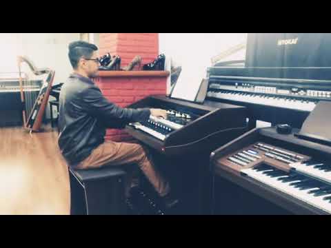 Órgão Tokai Yx 800 Organist