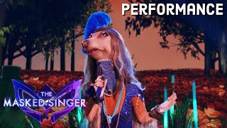 Afghan Hound sings “The Lion Sleeps Tonight” by The Tokens | THE MASKED SINGER | SEASON 11