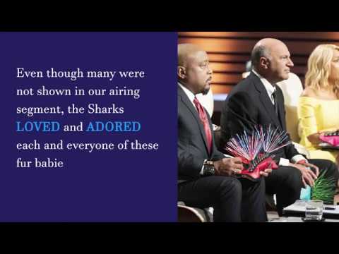 Coyote Vest Shark Tank Pitch